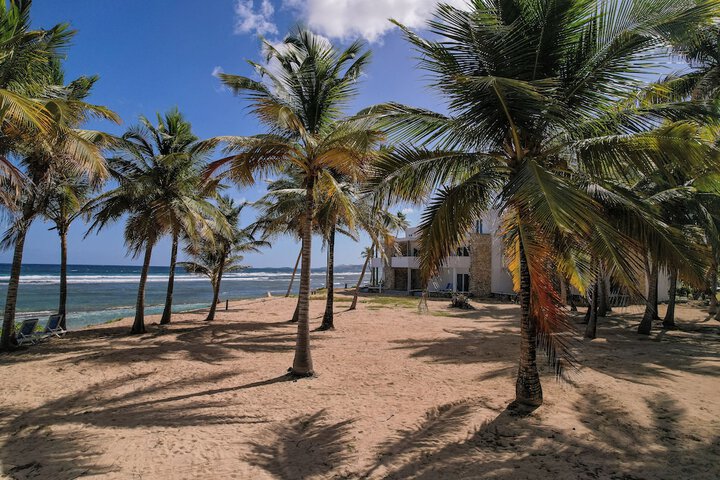 Beach 84 of 102