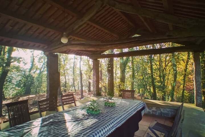 Terrace/Patio 12 of 56