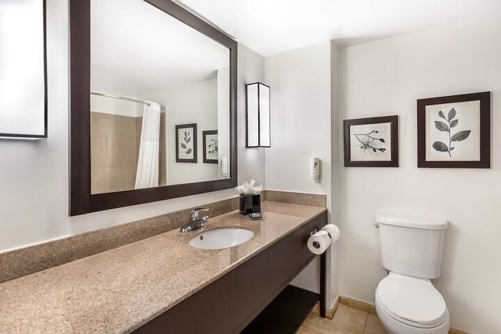 Bathroom Interior Photo
