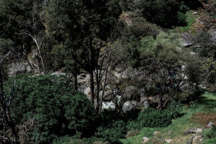 Property Grounds 48 of 49