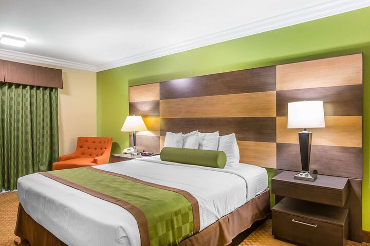 1 King Bed (5 of 9)