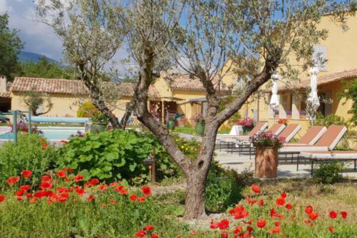 General 11 of 90
