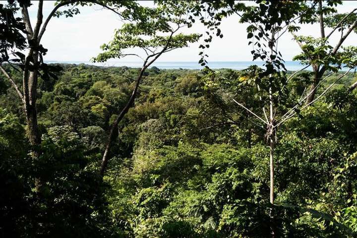 NATURE OBSERVATORIO AMAZING TREEHOUSE