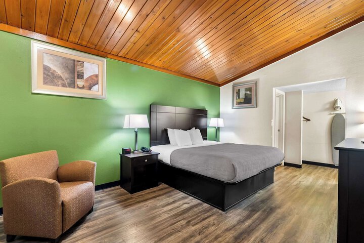 1 King Bed (3 of 13)