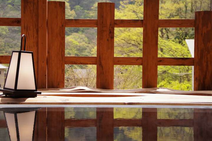 Spa and Wellness