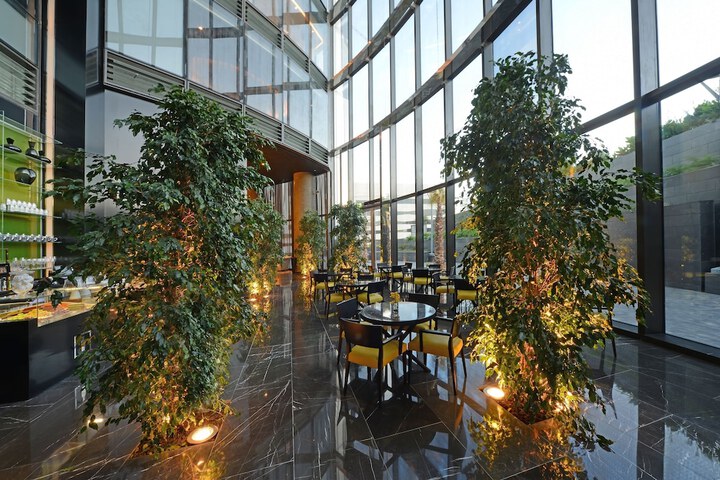 Lobby Entry