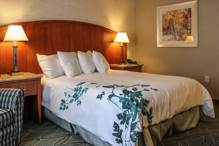 1 King Bed (7 of 12)