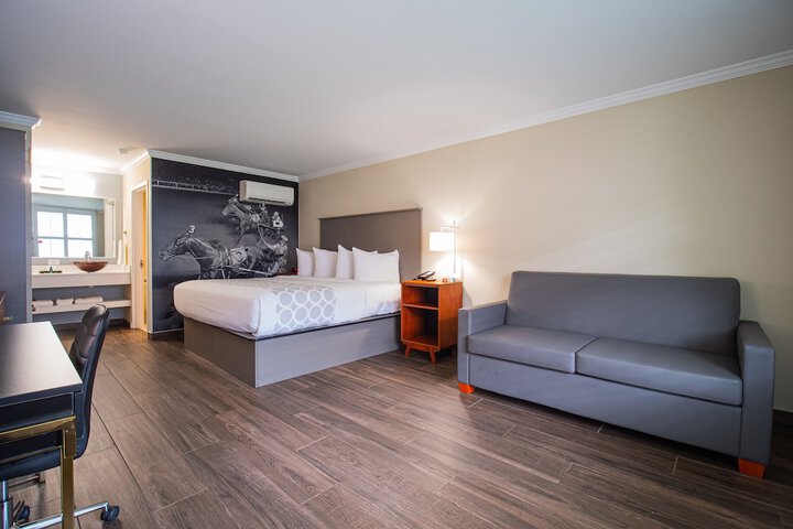 Room 15 of 49