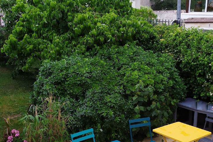 Terrace/Patio 17 of 20