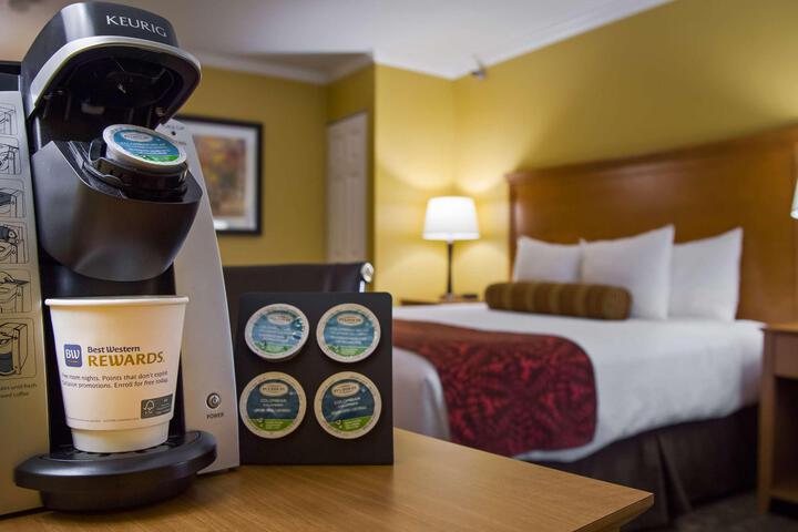 Suite 1 King Bed Nopet Qnsof Wirles Coffee Maker Microfridge Full Breakfast (19 of 19)