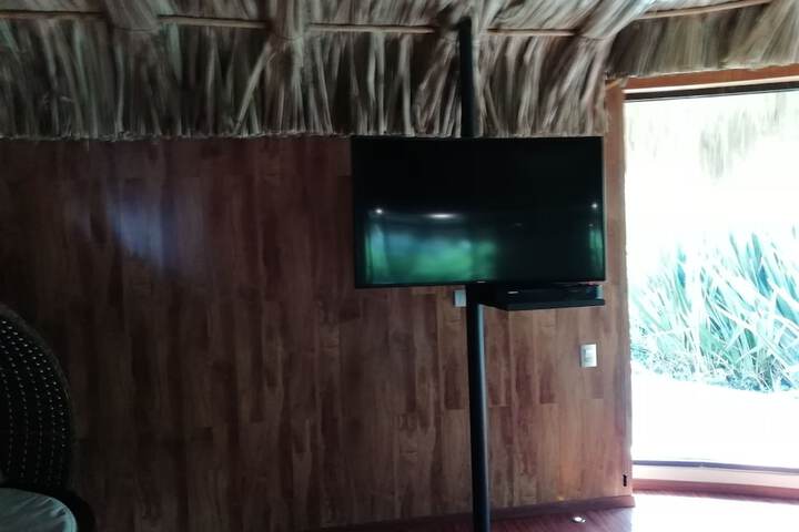 Room 12 of 39