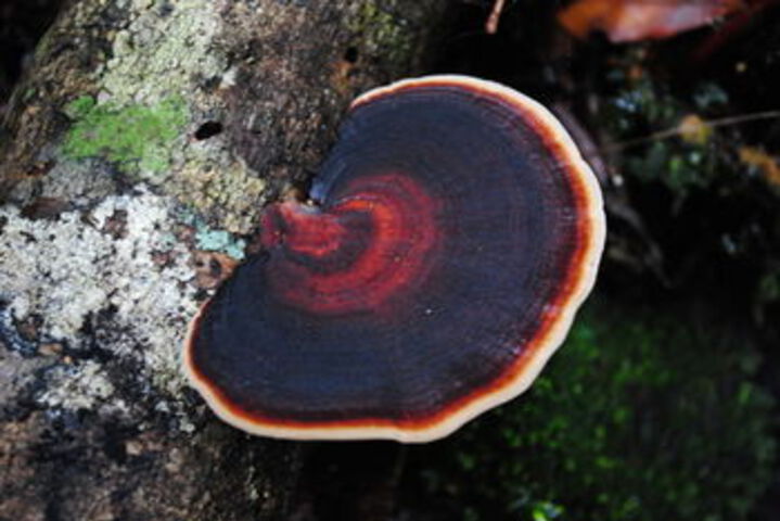 Hotel Exterior 8 of 43