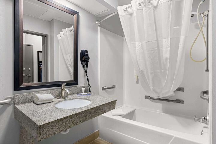 1 King Bed Suite (10 of 14)