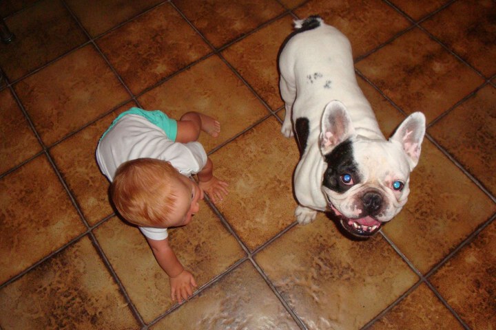 Pet Friendly 30 of 49