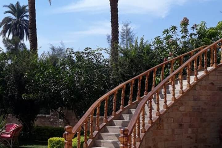 Hotel Exterior 156 of 218