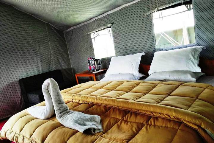 Room 43 of 45