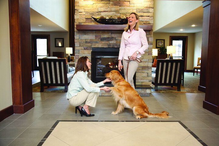Pet-friendly