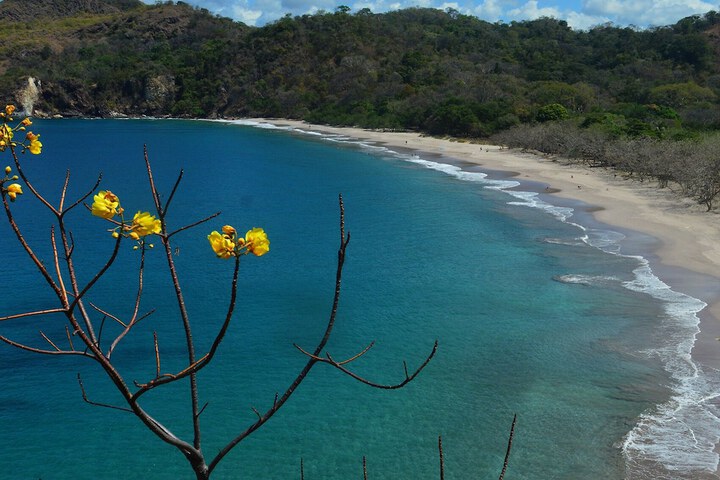 Beach 39 of 46