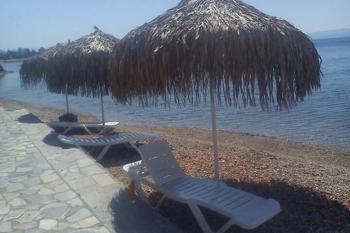Beach 44 of 52