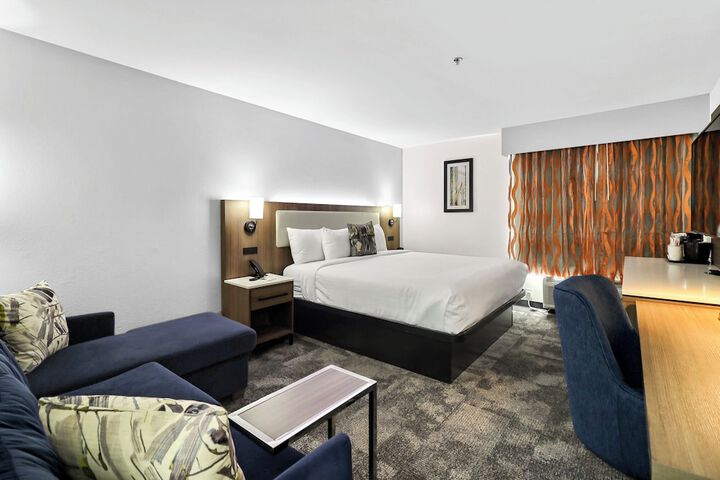 1 King Bed (34 of 43)