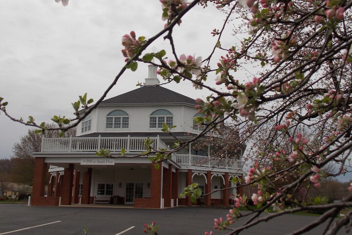 Property Grounds 21 of 28