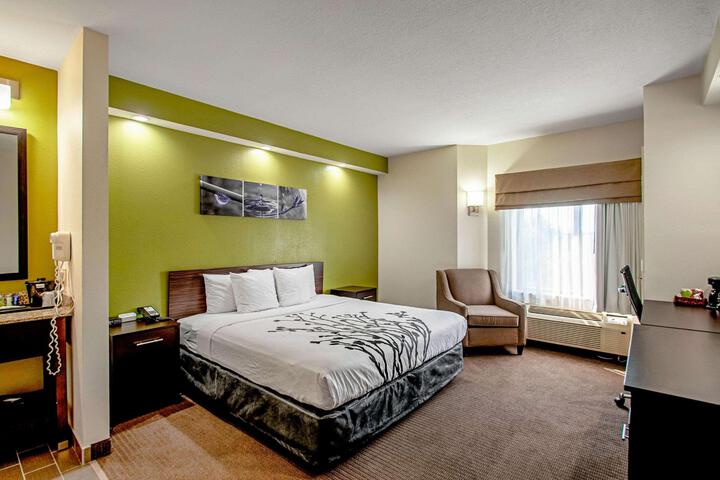 1 King Bed (4 of 6)