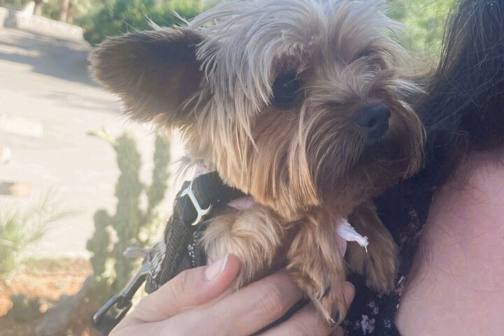 Pet Friendly 32 of 63