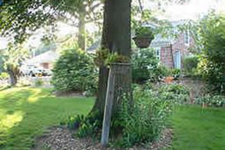 Property Grounds 34 of 37