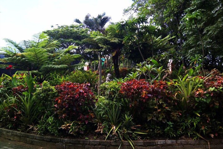 Property Grounds 29 of 35