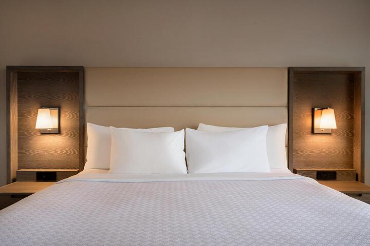 1 King Bed Accessible (8 of 10)