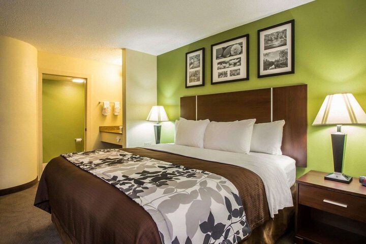 1 King Bed (5 of 8)