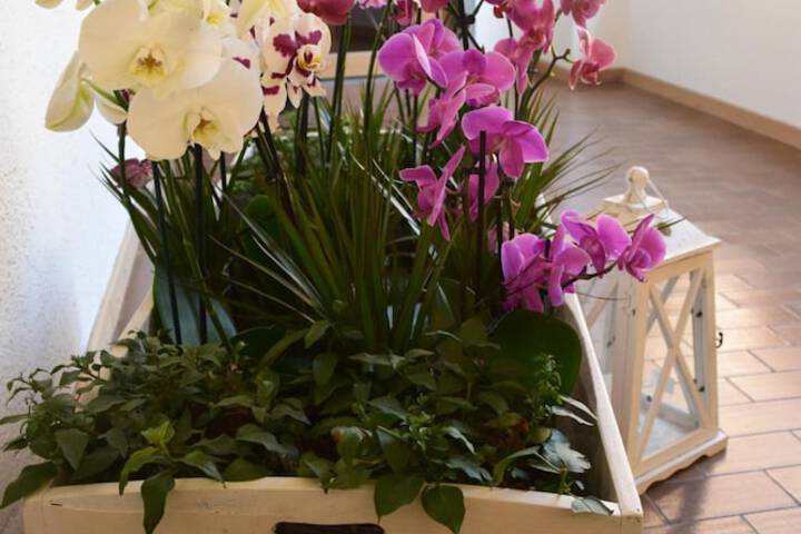 General 42 of 57
