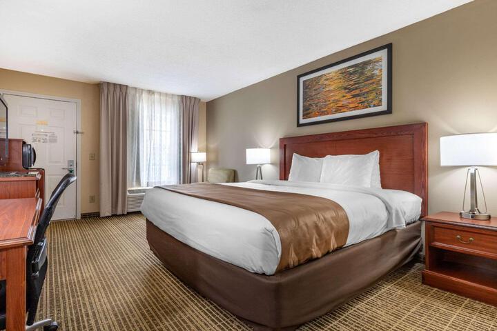 1 King Bed (8 of 11)