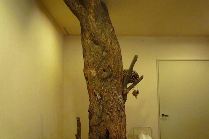 Hotel Interior 12 of 165