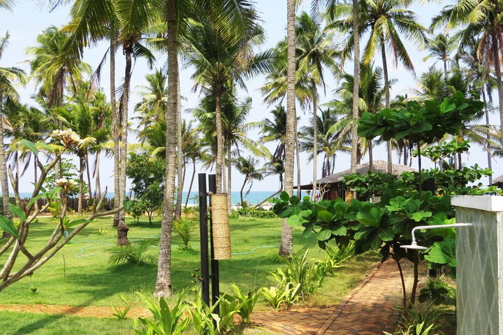Beach 54 of 68