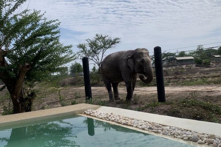 Pool 6 of 14