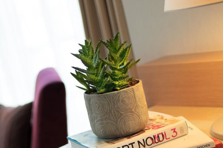 Room 44 of 104