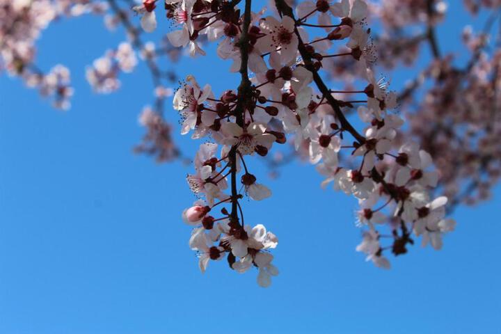 General 39 of 46