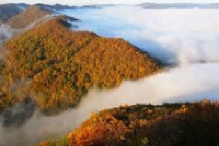 Hotel Interior 63 of 89