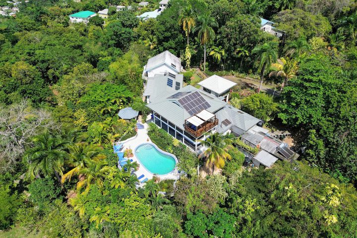 LF Jungle Retreat