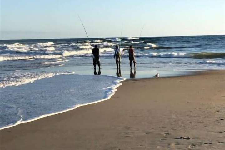 Beach 77 of 113