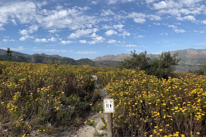 Outdoor Activities 55 of 72