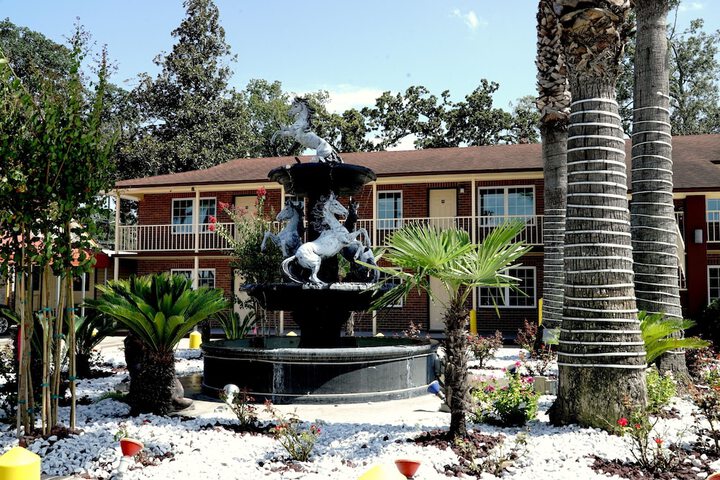 Garden view