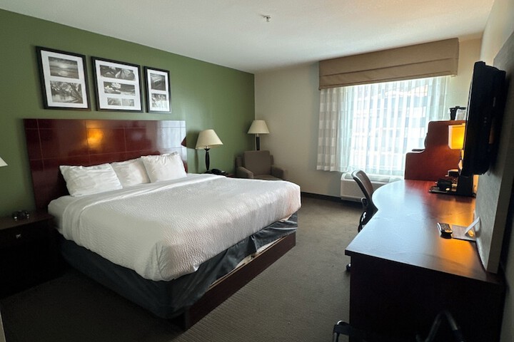 1 King Bed (6 of 22)