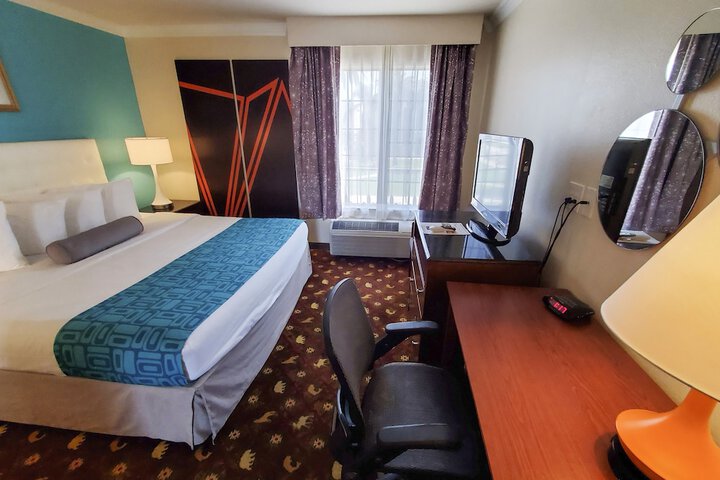 1 King Bed (4 of 18)