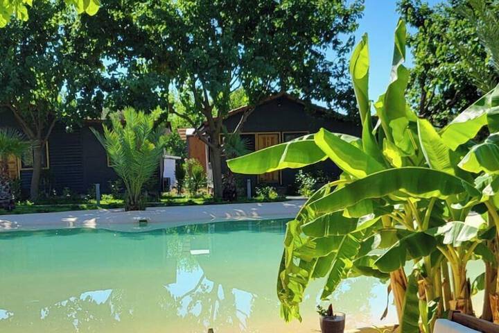Pool 62 of 91