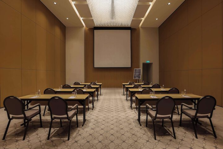 Meeting 208 of 223