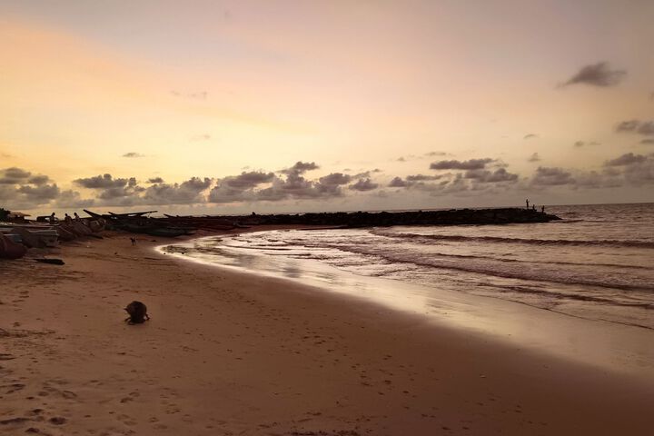 Beach 20 of 67