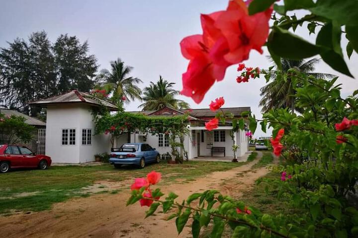ALA Beach Lodge - Markisa Homestay