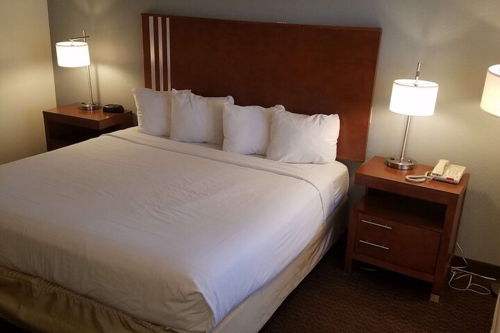 1 King Bed Flat Screen Television Microwave and Refrigerator High Speed Internet Accessible Continental Breakfast (8 of 20)